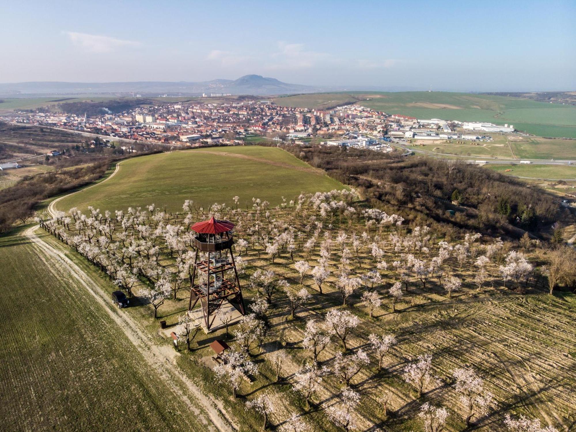 Wine Wellness Hotel Amande Hustopecze Zewnętrze zdjęcie