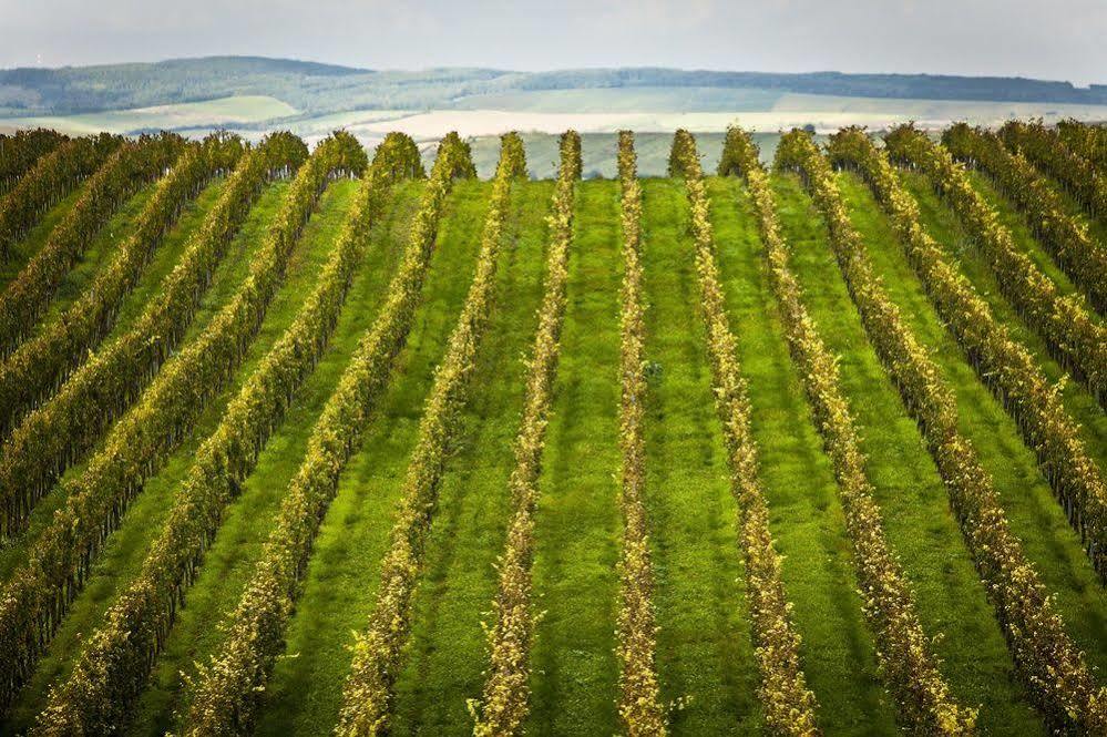 Wine Wellness Hotel Amande Hustopecze Zewnętrze zdjęcie